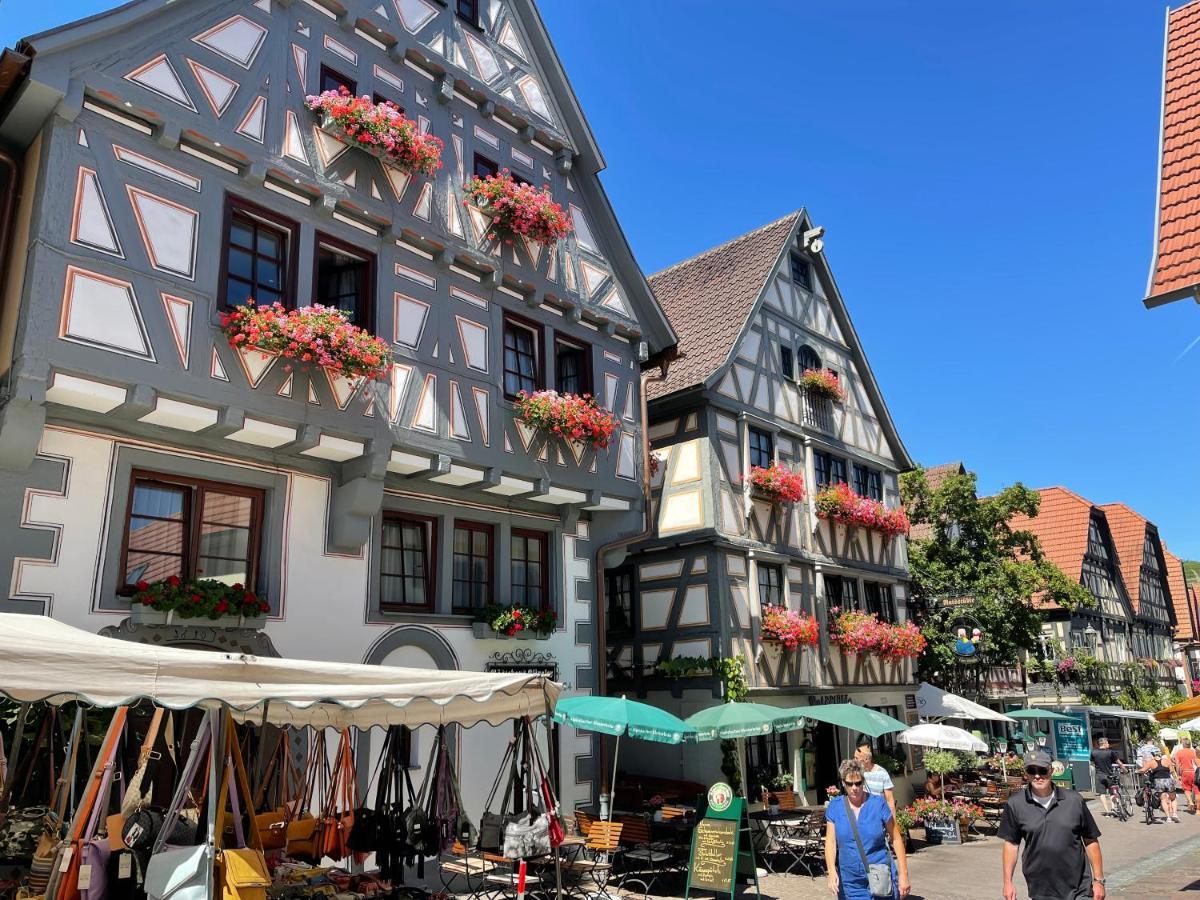 Gaestehaus Klingler Besigheim Exteriör bild