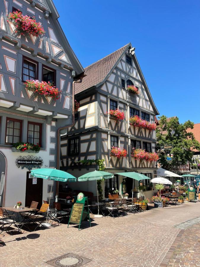 Gaestehaus Klingler Besigheim Exteriör bild